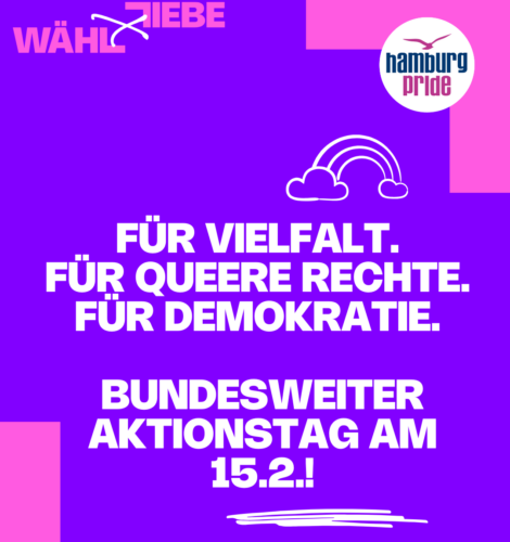 Sharepic: "Für Vielfalt. Für Queere Rechte. Für Demokratie. Bundesweiter Aktionstag am 15.2.!"